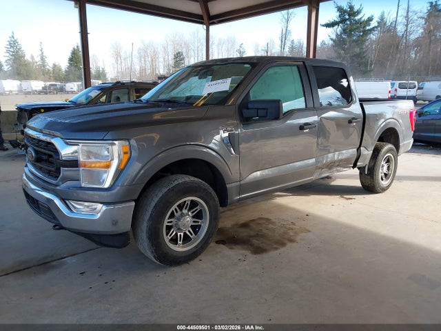 1FTFW1E54NFB99397 Ford F-150 Xlt