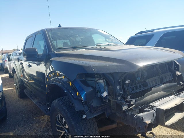 Продажа на аукционе авто 2019 Ford F-150 Raptor, vin: 1FTFW1RG9KFC62808, номер лота: 44510258