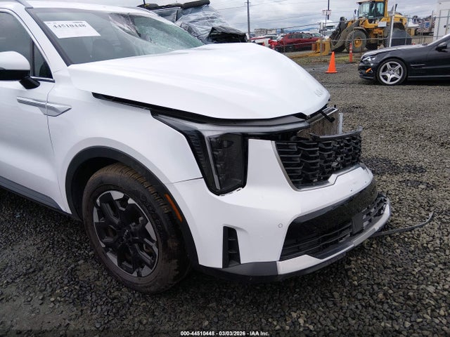 KIA SORENTO S 2024 5XYRLDJC9RG262914 Image 19