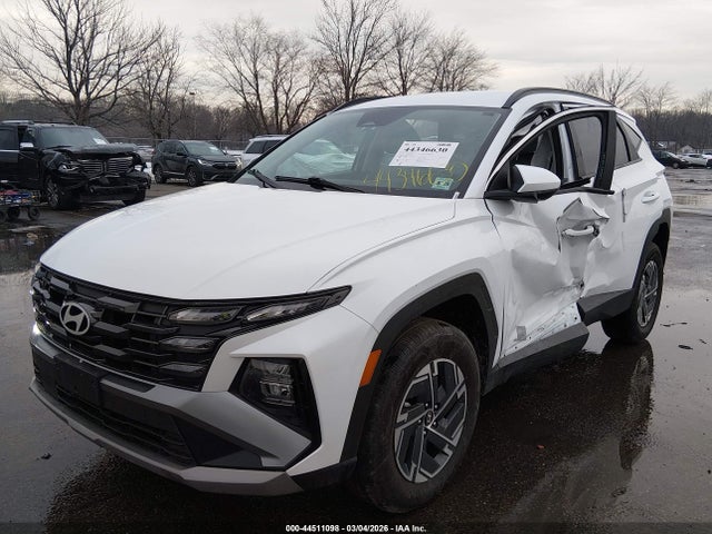 2025 HYUNDAI TUCSON HYBRID KM8JBDD16SU307379 Photo 1