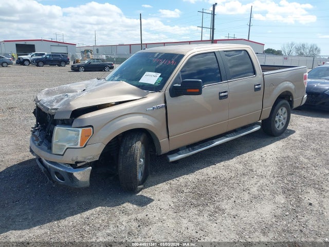 Продаж на аукціоні авто 2012 Ford F-150 Xlt, vin: 1FTFW1CF6CKE32311, номер лоту: 44511341
