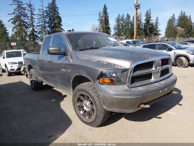2009 DODGE RAM 1500 1D3HV18T49S771224