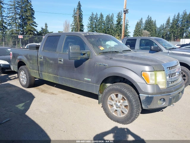 2013 FORD F-150 1FTFW1ET7DKE53687