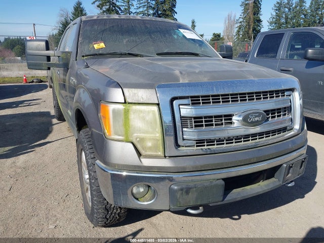 2013 FORD F-150 1FTFW1ET7DKE53687 Photo 5