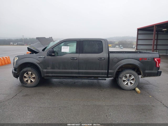 Auction sale of the 2015 Ford F-150 Xlt, vin: 1FTEW1EPXFKD98119, lot number: 44513337