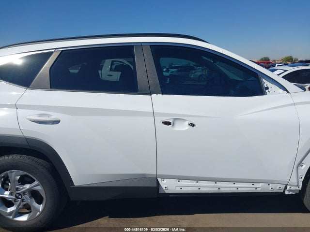 Hyundai TUCSON SEL 2023 5NMJBCAE1PH284999 Image 14