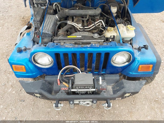2003 JEEP WRANGLER 1J4FA49S03P309296 Photo 9