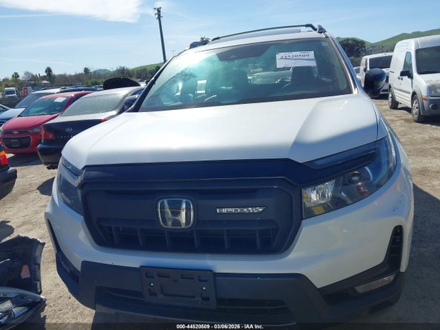 5FNYF8H6XRB019386 Honda Passport Awd Trailsport