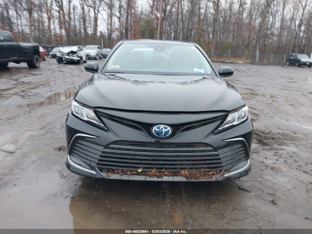 44520861 :رقم المزاد ، 4T1C31AK3MU559580 vin ، 2021 Toyota Camry Le Hybrid مزاد بيع