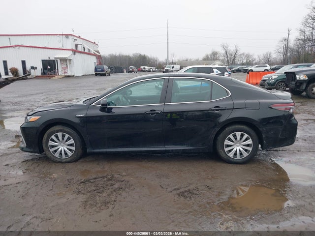 44520861 :رقم المزاد ، 4T1C31AK3MU559580 vin ، 2021 Toyota Camry Le Hybrid مزاد بيع