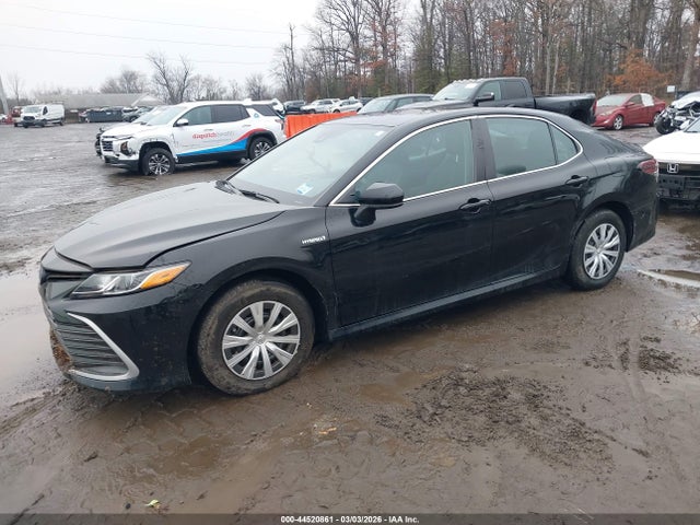 44520861 :رقم المزاد ، 4T1C31AK3MU559580 vin ، 2021 Toyota Camry Le Hybrid مزاد بيع