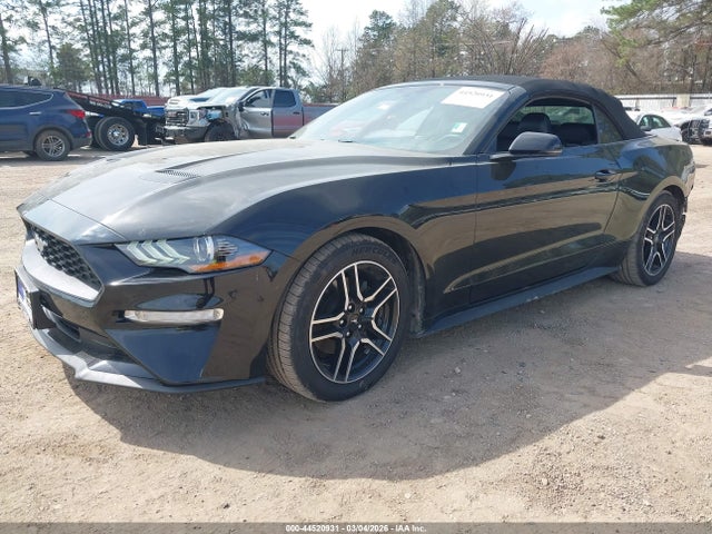 2019 FORD MUSTANG 1FATP8UH6K5134000 Photo 1