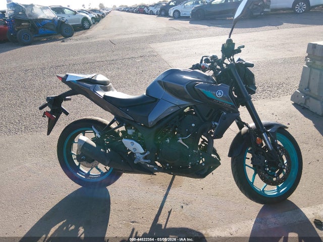 MH3RH20YXRK014461 Yamaha Mt-03