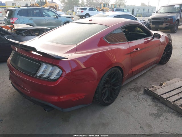 Ford Mustang Ecoboost 2019 1FA6P8TH0K5169162 Image 4