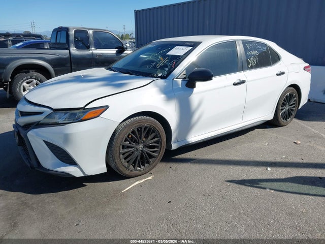 4T1G11AK9LU331251 Toyota CAMRY SE