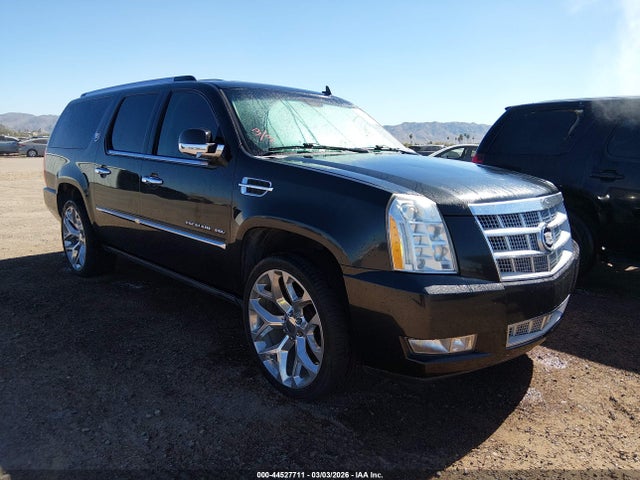 2010 CADILLAC ESCALADE ESV 1GYUKKEF9AR193096