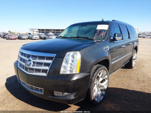 2010 CADILLAC ESCALADE ESV 1GYUKKEF9AR193096 Photo 1