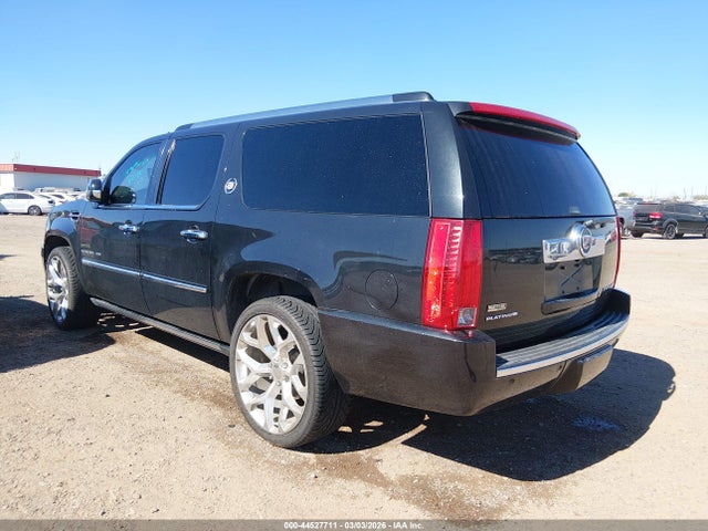 2010 CADILLAC ESCALADE ESV 1GYUKKEF9AR193096 Photo 2
