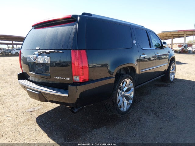 2010 CADILLAC ESCALADE ESV 1GYUKKEF9AR193096 Photo 3