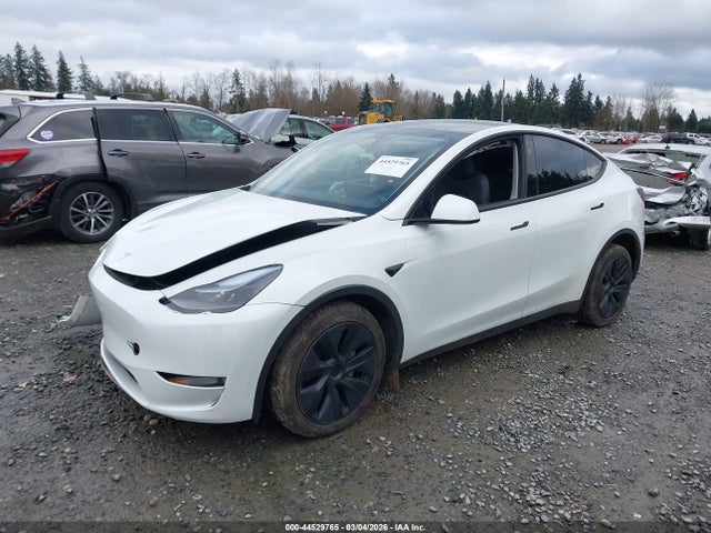 2024 TESLA MODEL Y 7SAYGDEE3RF191876 Photo 1