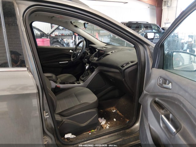 2014 FORD ESCAPE 1FMCU9GX5EUD55685 Photo 4
