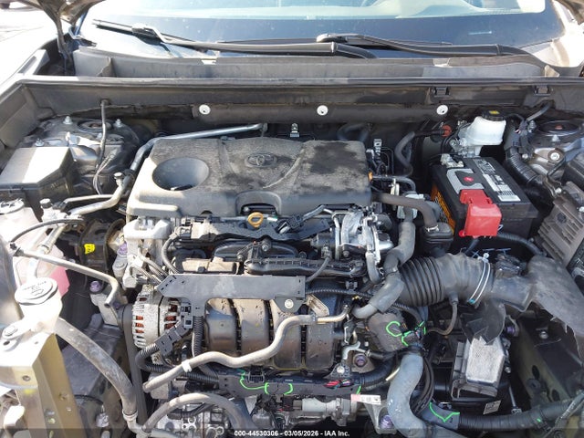 2T3W1RFV3KC031435 Toyota Rav4 Xle