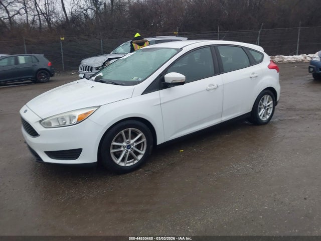 Ford FOCUS SE 2015 1FADP3K21FL249899 Image 2