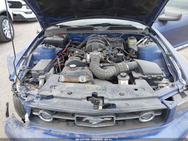2005 FORD MUSTANG 1ZVFT80N655161164 Photo 9