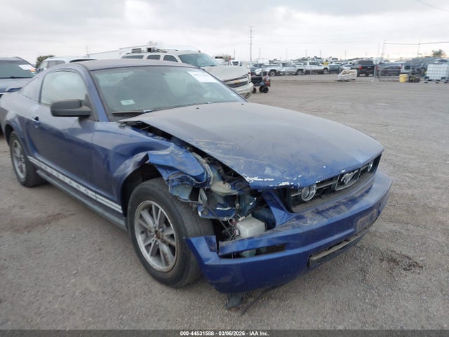 2005 FORD MUSTANG 1ZVFT80N655161164 Photo 5