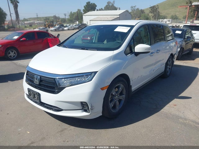2021 HONDA ODYSSEY 5FNRL6H57MB022733 Photo 1