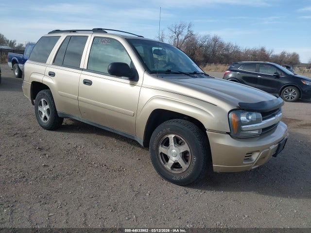 2006 CHEVROLET TRAILBLAZER 1GNDT13SX62163397