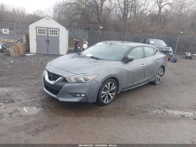 1N4AA6AP9GC446565 Nissan Maxima 3.5 Platinum/3.5 S/3.5 Sl/3.5 Sr/3.5 Sv