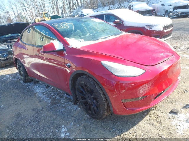 2023 TESLA MODEL Y 7SAYGAEEXPF584981 Photo 0