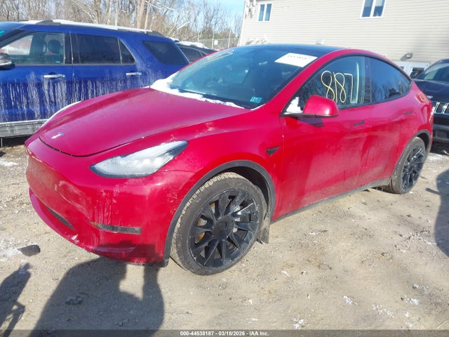 2023 TESLA MODEL Y 7SAYGAEEXPF584981 Photo 1
