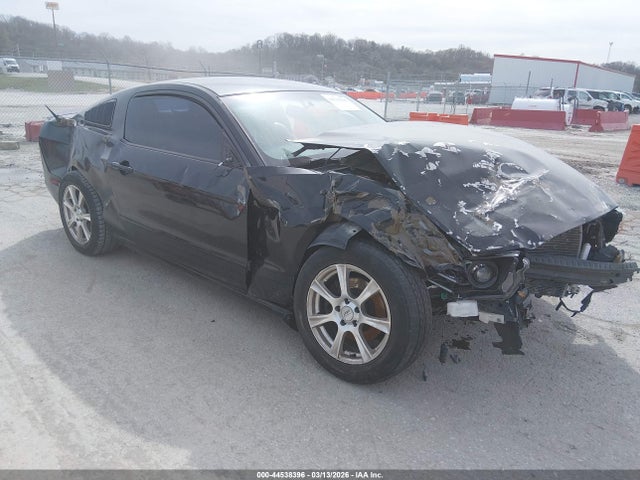 2013 FORD MUSTANG 1ZVBP8AM7D5239667
