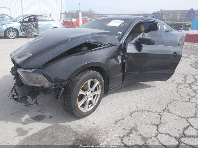 2013 FORD MUSTANG 1ZVBP8AM7D5239667 Photo 1