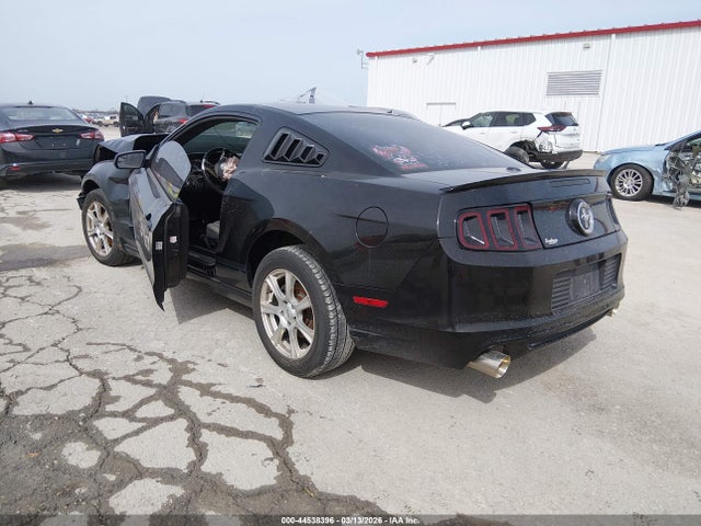 2013 FORD MUSTANG 1ZVBP8AM7D5239667 Photo 2
