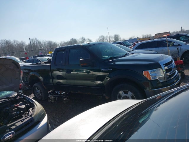 2013 Ford F-150 Xlt მანქანა იყიდება აუქციონზე, vin: 1FTFX1EF6DFA00919, აუქციონის ნომერი: 44538841