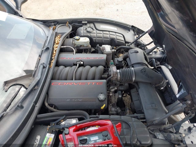 2004 CHEVROLET CORVETTE 1G1YY22GX45104806 Photo 9