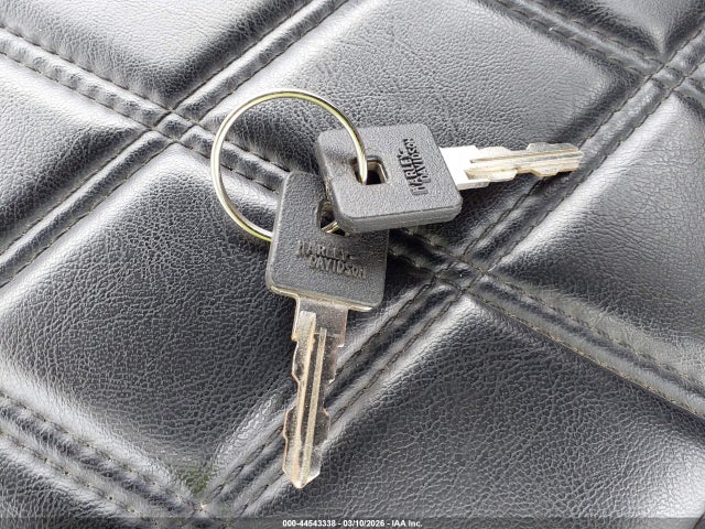 2019 HARLEY-DAVIDSON XL1200 1HD1LC319KC418252 Photo 10