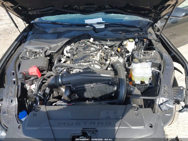 Ford Mustang Ecoboost Fastback 2025 1FA6P8TH5S5131555 Image 10