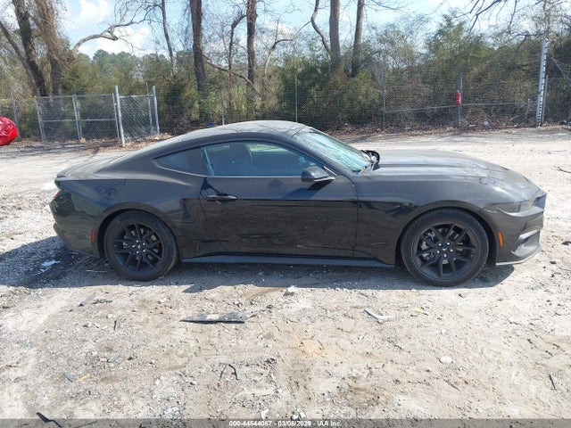 Ford Mustang Ecoboost Fastback 2025 1FA6P8TH5S5131555 Image 13