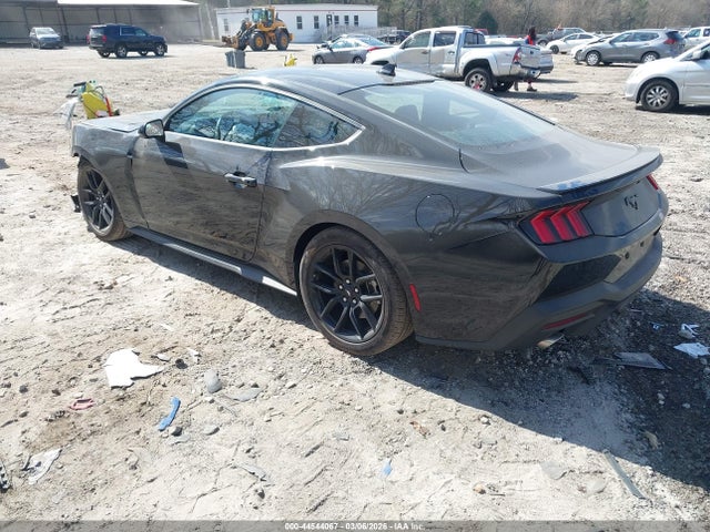 Ford Mustang Ecoboost Fastback 2025 1FA6P8TH5S5131555 Image 3