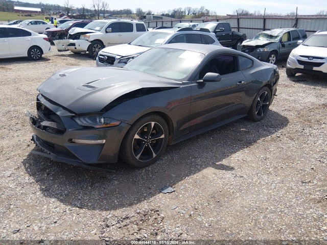 2019 FORD MUSTANG 1FA6P8TH5K5175247 Photo 1