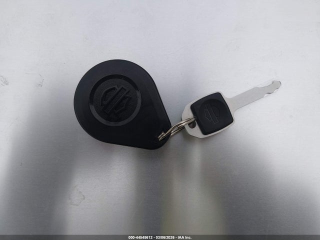 2018 HARLEY-DAVIDSON FLSL 1HD1YDJ10JC026009 Photo 10