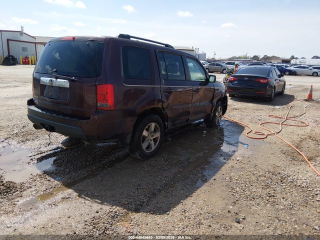 2010 HONDA PILOT 5FNYF3H56AB013132 Photo 3