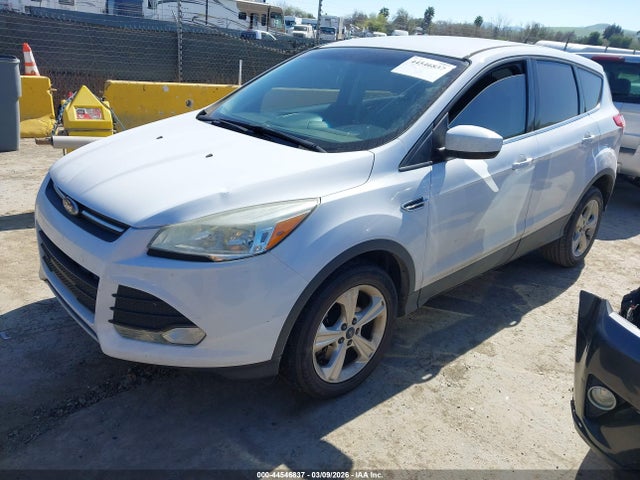 Ford ESCAPE SE 2014 1FMCU0G96EUE27426 Image 2
