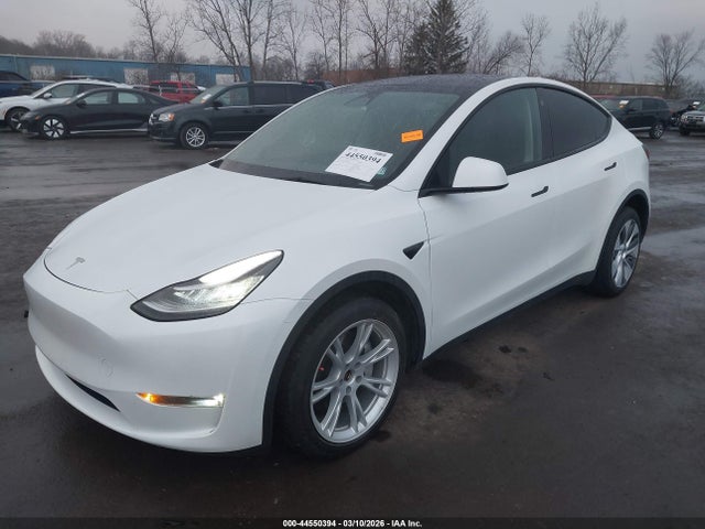 Aukcja sprzedaży 2023 Tesla Model Y Awd/long Range Dual Motor All-wheel Drive, vin: 7SAYGDEE7PA105172, numer aukcji: 44550394
