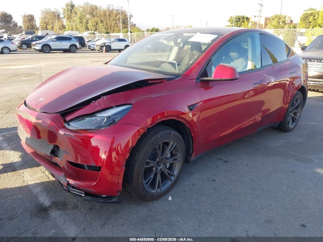 2024 TESLA MODEL Y 7SAYGDED3RF202429 Photo 1