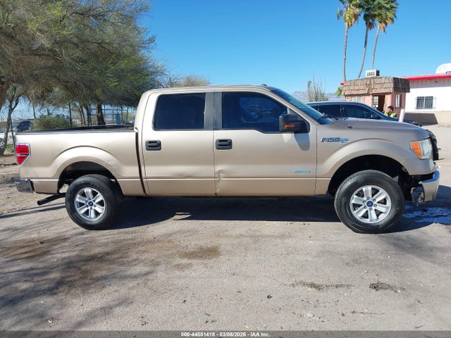 Ford F-150 Xlt 2014 1FTFW1CT6EKE56469 Image 13